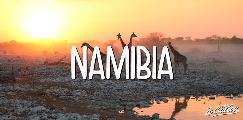 Girafas in Etosha parc in north Namibia and travel ideas from Ze Caillou