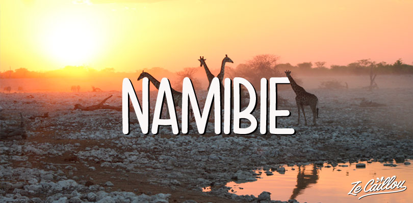 Girafes au parc d'Etosha en Namibie, idée voyage dans le monde par Ze Caillou