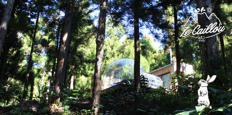Original lodging in bubble at Les Makes, La Reunion