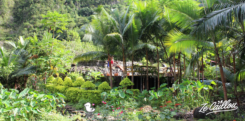 The garden full of flowers just around our tents and swimming pool, Reunion Island
