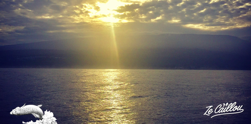 Let's begin the deep-sea fishing in La Reunion, starting at sunrise direction Saint-Gilles' FAD.