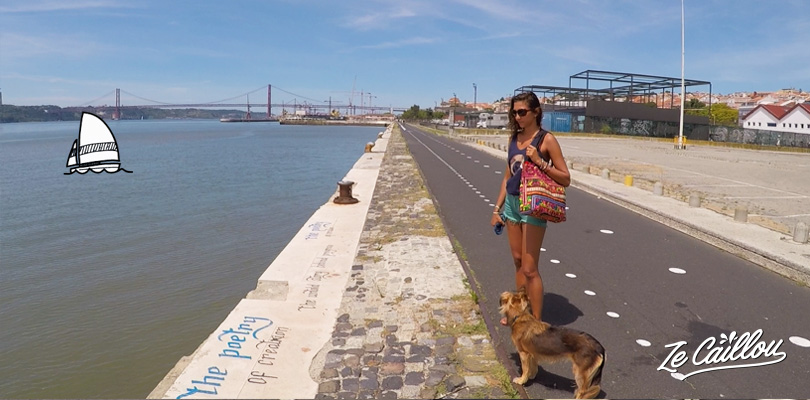 Rent a bicycle or walk along the Taje in Lisbon