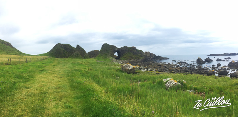 Walk across arches, sheeps' fields and white beach during the giant's causeway hike