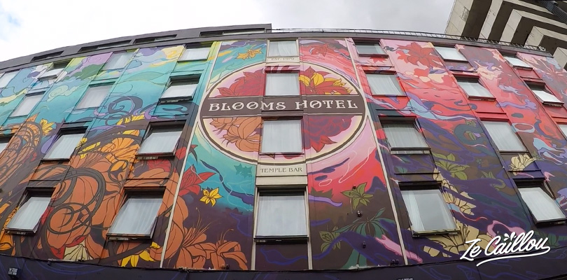the huge blooms hotel with a painting of the book Ulysses from James Joyce