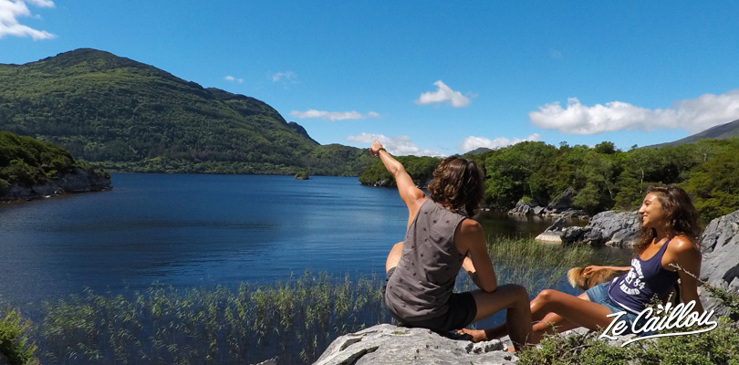 Enjoy the beautiful 9km wak around the Muckross lake in the Killarney national park
