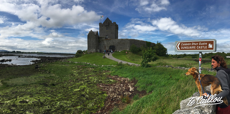 Visit the Dunguaire castel in the Burren region on the way to Galway