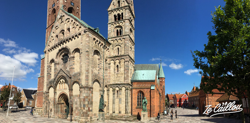 La cathédrale de RIbe au centre du quartier historique de la ville