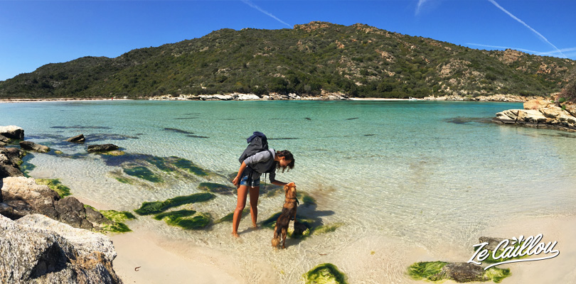 Nagez dans des aux eaux turquoises dans le nord de la Corse.