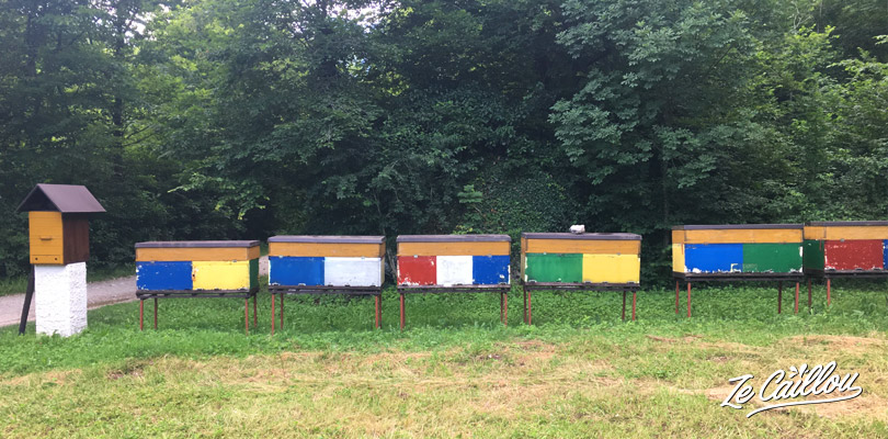 Les ruches sont colorées en Slovénie, vous en verrez un peu partout.
