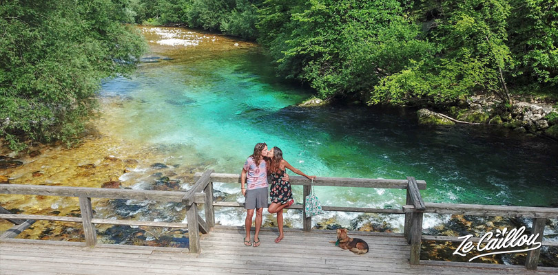 Perfect water color at Bohinj lake in the Triglav national park in Slovenia, enjoy vanlife.