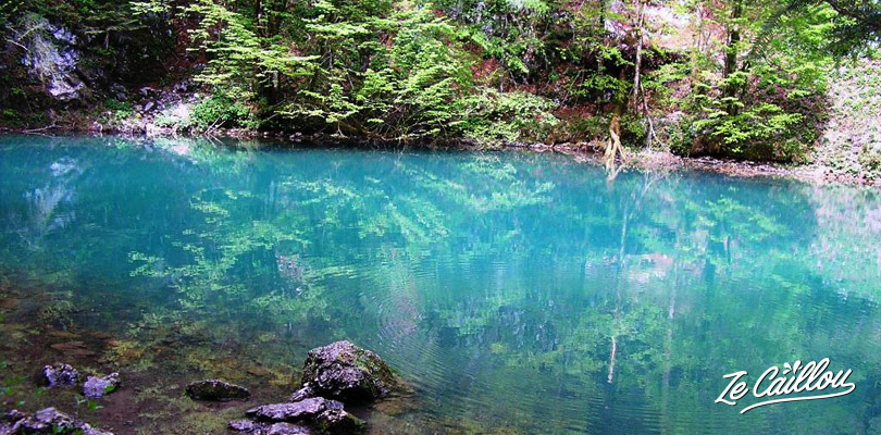 La source Izor Kupa dans le parc national de Risnjak en Croatie.