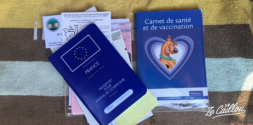 You need your dog'seuropean passport to take a ferry in Europe with an animal.