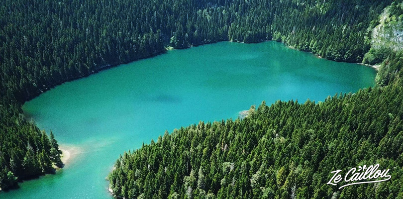 Drone view on the Black Lake in the Durmitor Park, north of Montenegro.