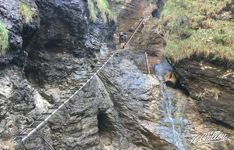 Osez les échelles vertigineuses des gorges de Sucha Bela lors d'un road trip en Slovaquie en van