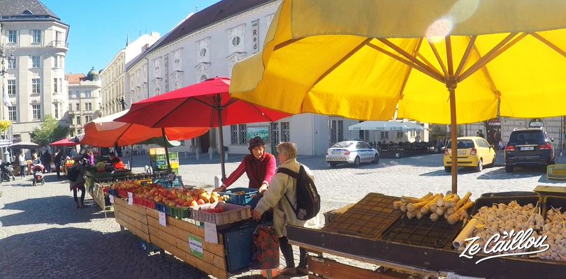Le marché aux fruits, légumes et fleurs de Brno en République Tchèque.