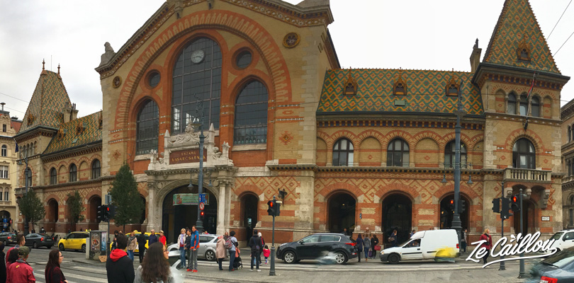 Budapest central market and its facade made with red bricks.