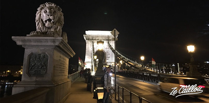 Chains Bridge and its lions'statues in Budapest, road trip in Hungary