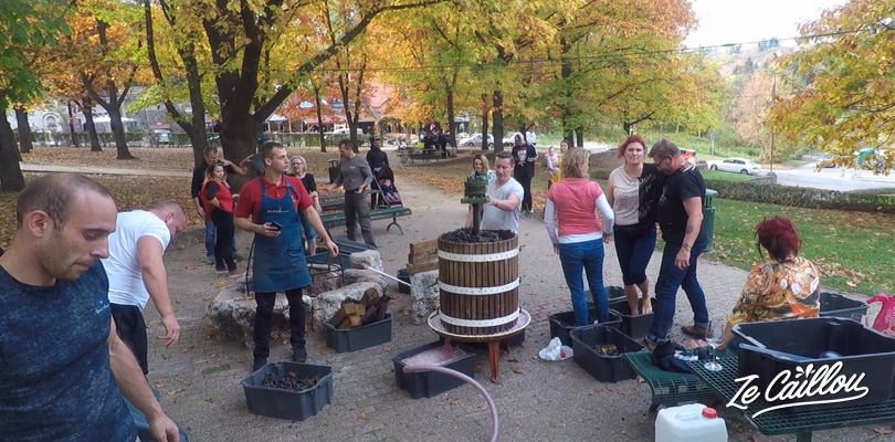 Old-fashion way to crash grapes to make wine in Eger, Hungay.