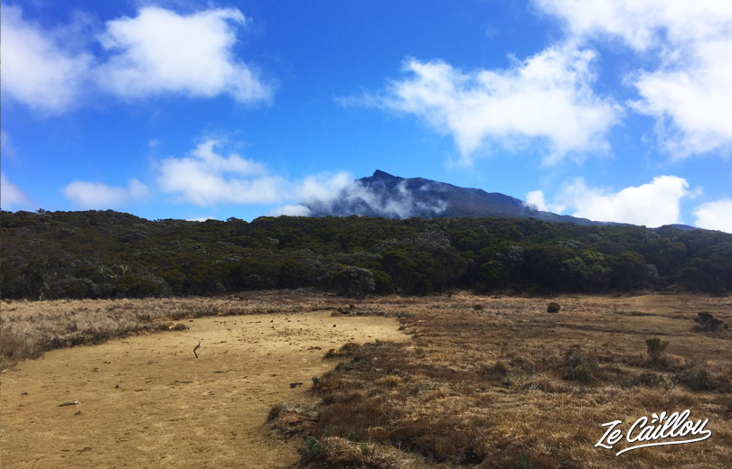 Nice view on Le Piton des Neiges from Le Kerveguen summit, find all in our blog about Reunion Island.