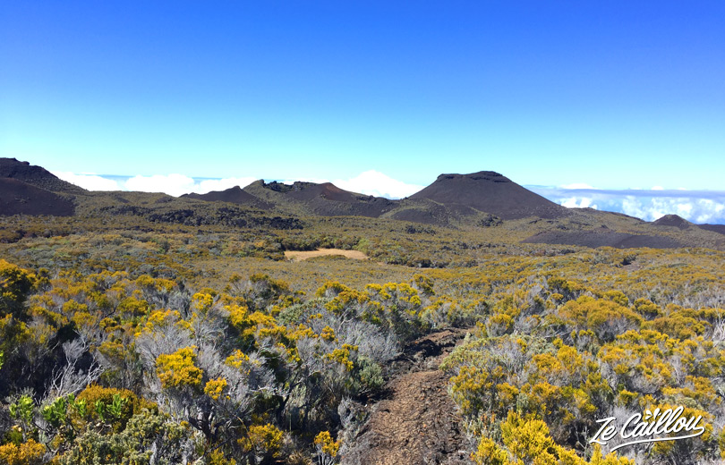 La vue sur les Puys Ramond, anciens cratères du volcan en direction de Basse Vallée.