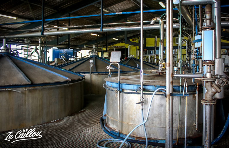 La distillerie de Savanna est fait partie des activités culturelles à la Réunion.