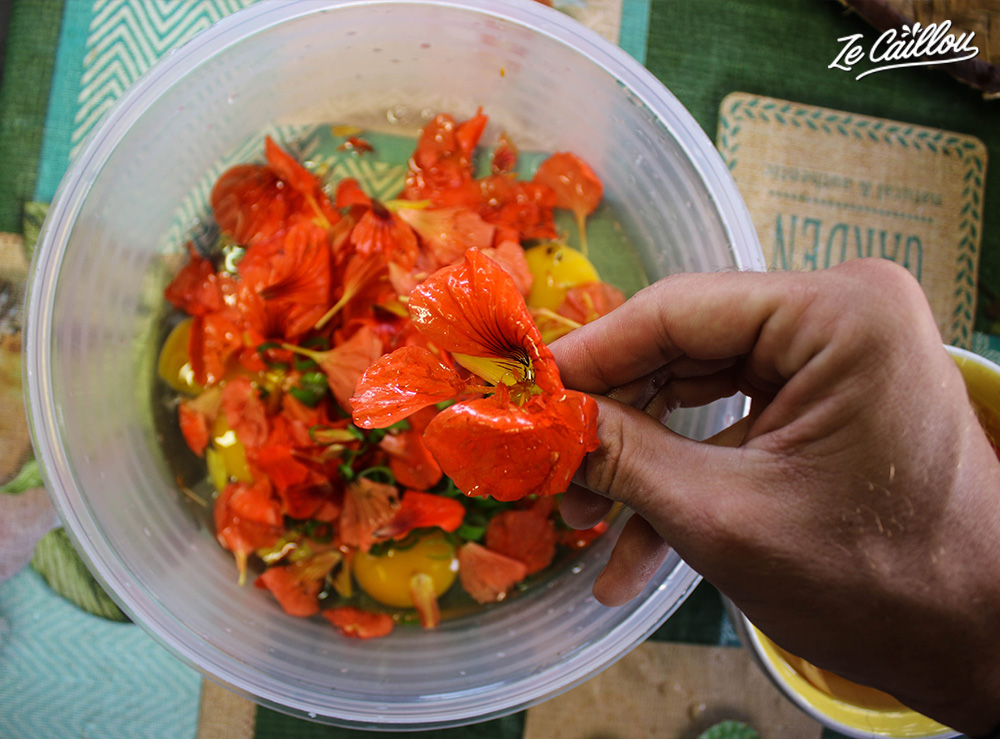 These orange flowers are go be used for the omelette preparation during the creole cooking workshop.