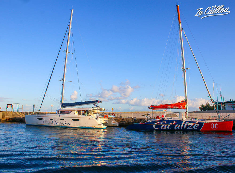 Grand Bleu, Cat Ananas, Cat Alizé, Cata Passion, the different boats of Grand Bleu for many differents sea trips.