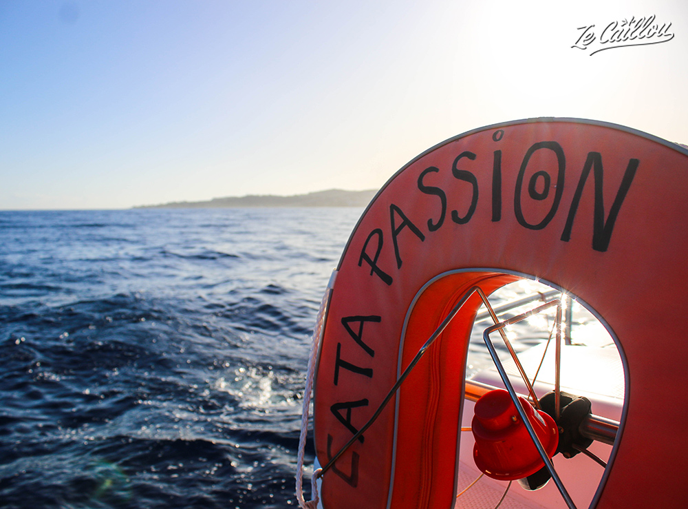 On embarque à bord du Cata Passion pour cette balade chill en catamaran.
