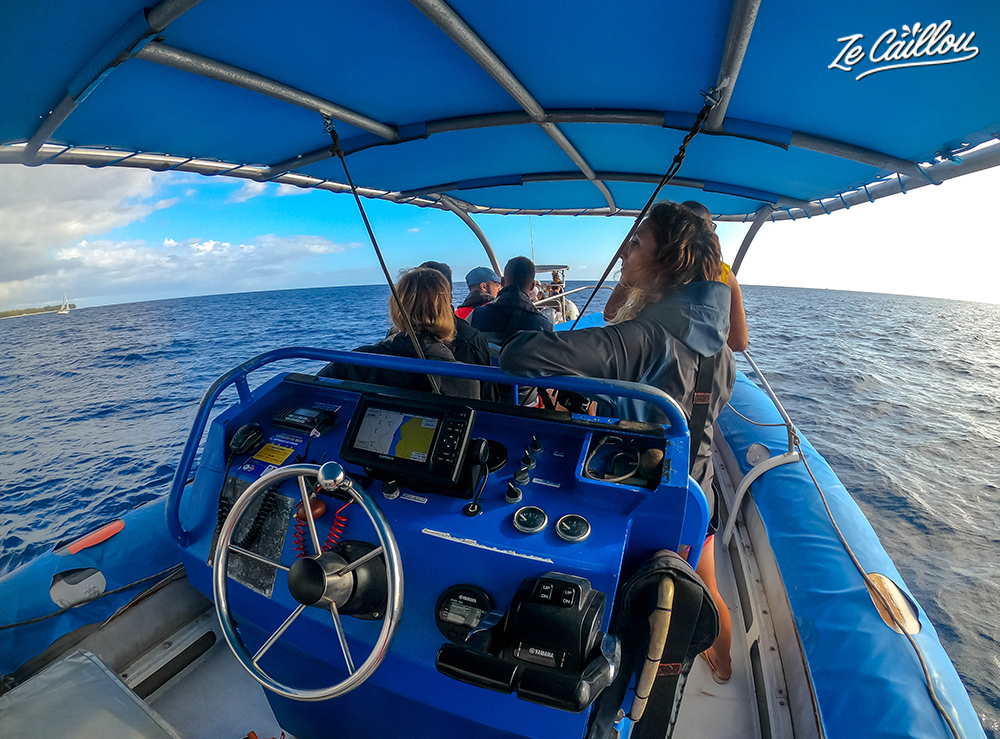 Enjoy a whales boat trip in the small and speedy Splash boat in Reunion island.