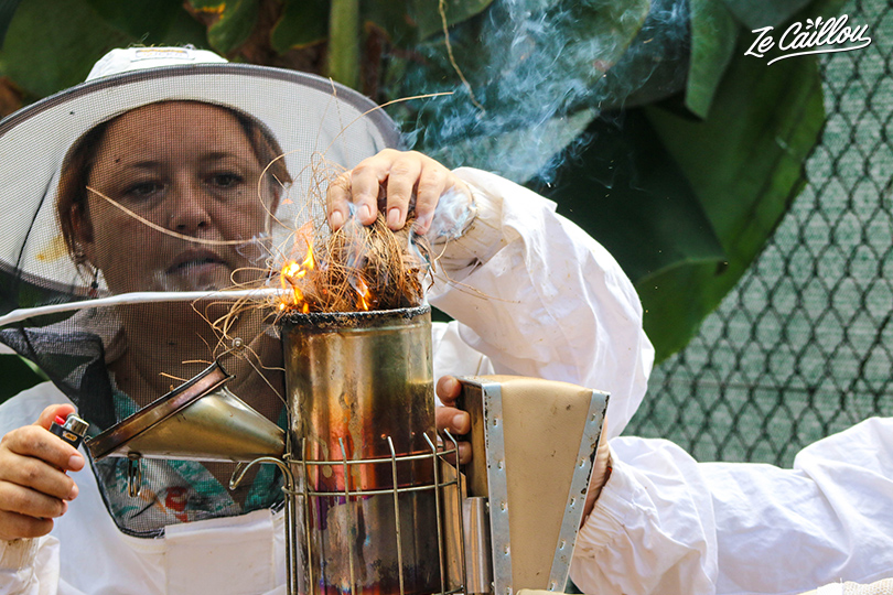 Enfumer les abeilles avant d'ouvrir une ruche permet de fausser leur phéromones.