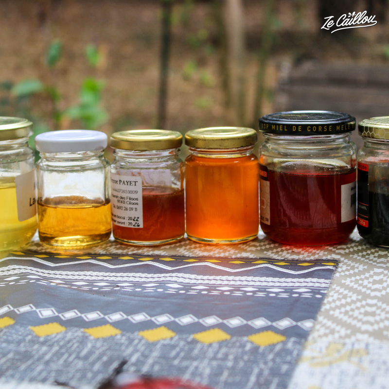 Dégustation de différents miel autour des ruches à saint paul.