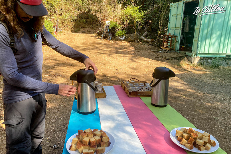 Herbal tea snack and local cake to start the walk in paulo's garden.