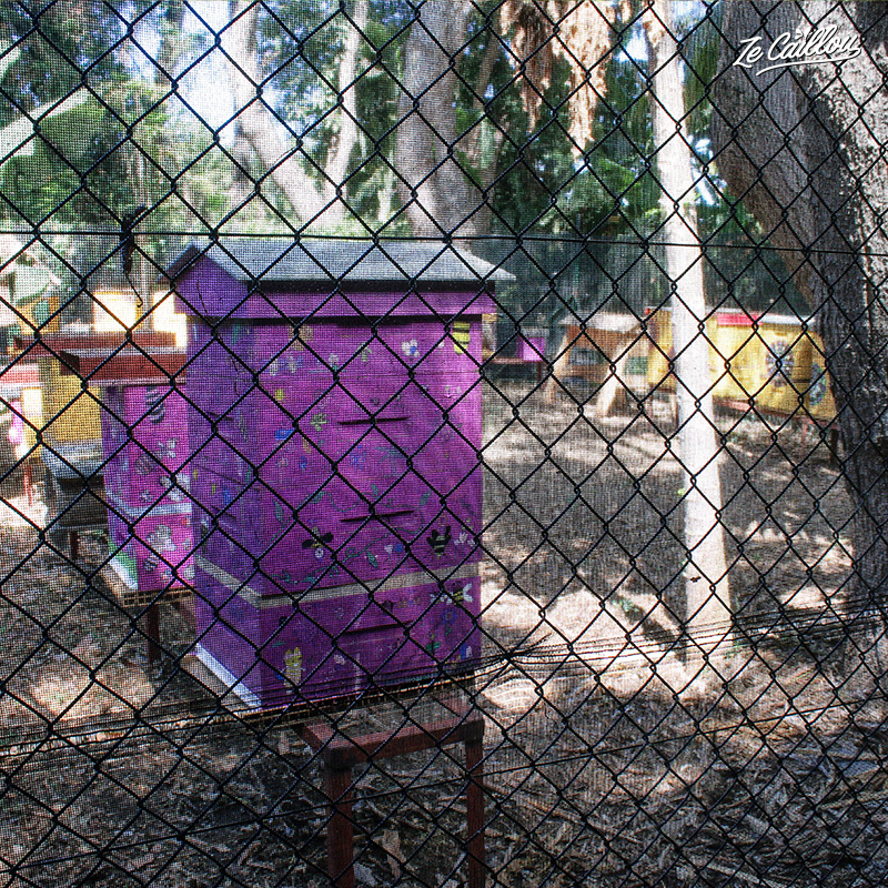 Le Parkmoun, l'endroit d'ou on peut observer les ruches en toute sécurité.