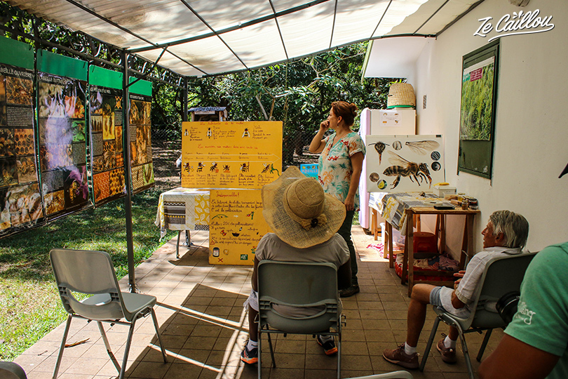 Visit an apiary in Reunion and learn many info about bees'life.