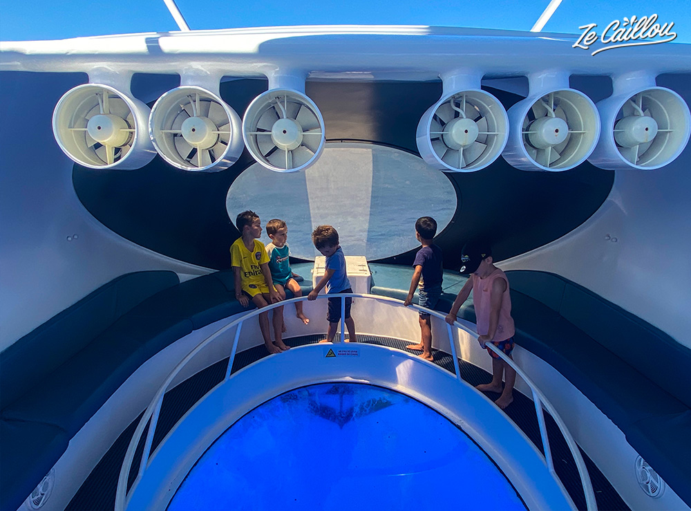 Children are waiting in front off the big glass of the glass bottom boat to observe the sea wildlife.