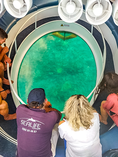 Observation du récif et de la vie sous marine de la Réunion avec le bateau à fond de verre.