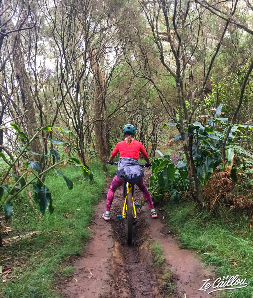 Some slightly technical paths in the forest during the maido mountain bike downhill.