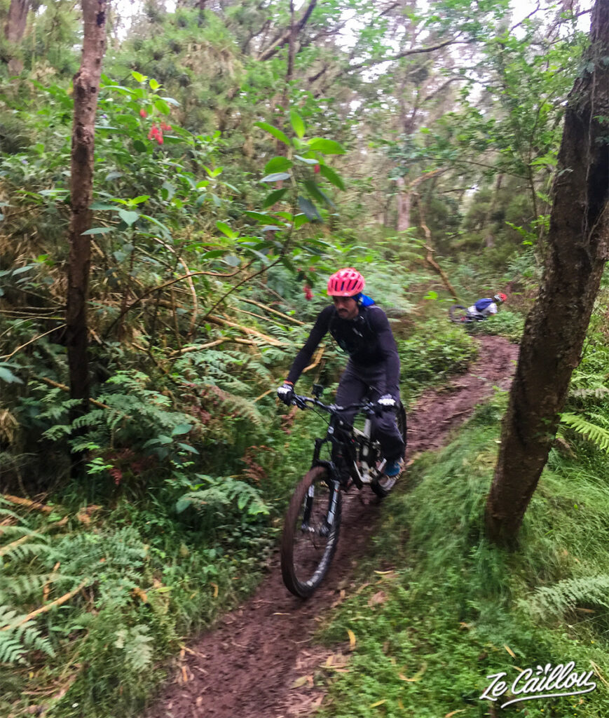 The descent of Maido by mountain bike in Reunion, perfect if you are looking for thrills!