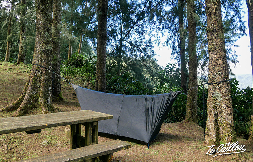 The Bug Net mosquito net added with a tropilex hammock to protect against animals.