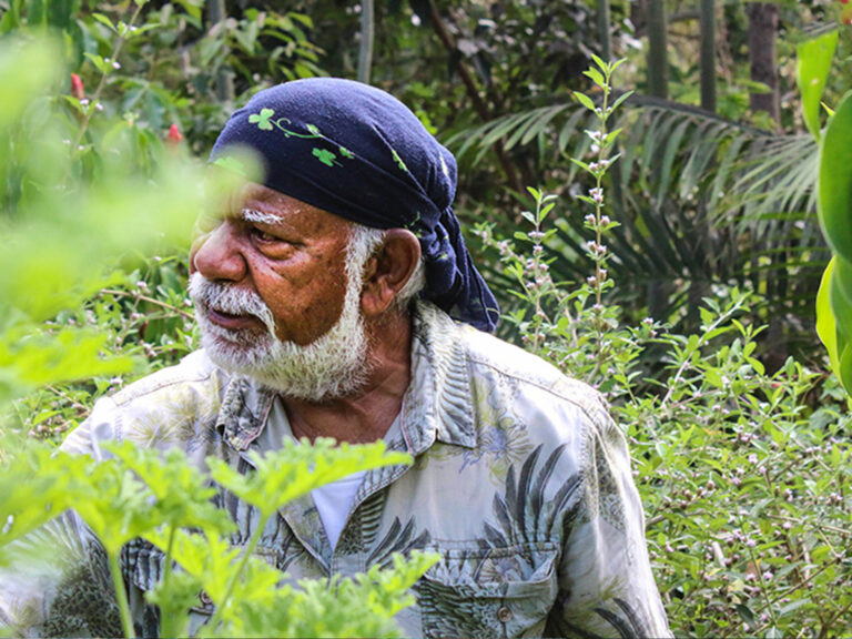 Découvrir la culture locale de la Réunion sur le blog de voyage de Ze Caillou.