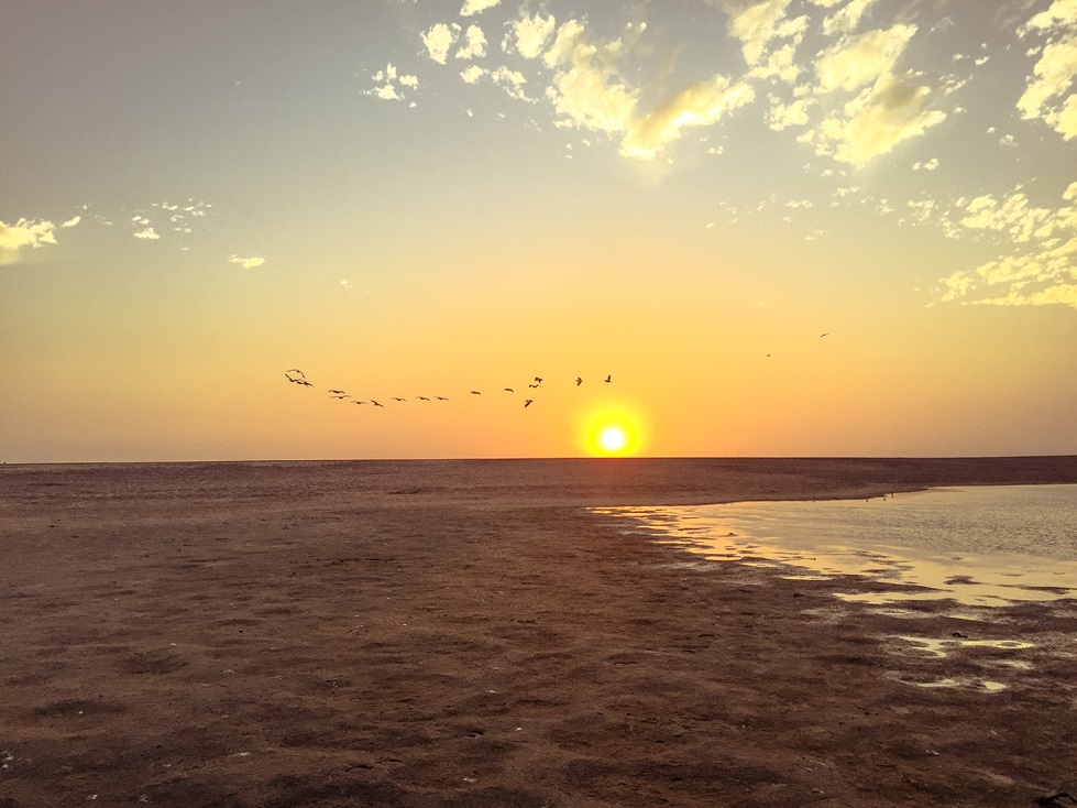 A flight of pink flamingos at Walvis Bay, itinerary on our travel blog in Namibia.