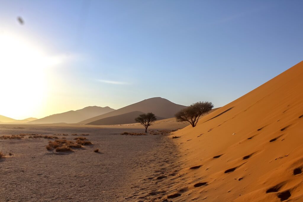 Unforgettable landscapes in Sossusvlei during our trip to Namibia.