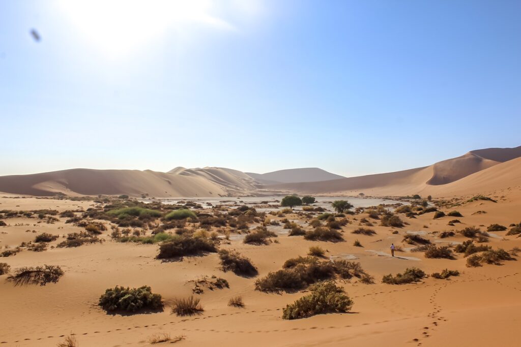 Breathtaking landscapes in the Namib Desert, roadtrip in Namibia.