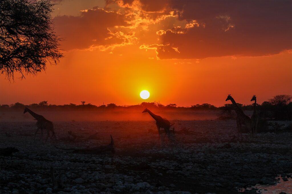 Coucher de soleil à Okaukuejo en Namibie au parc animalier Etosha.