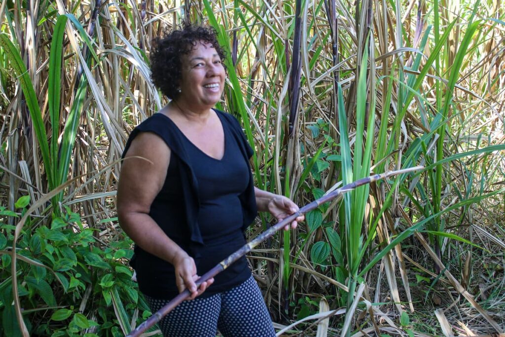 Le Domaine de Coco, un jardin créole mais aussi un domaine agricole de la canne à sucre.