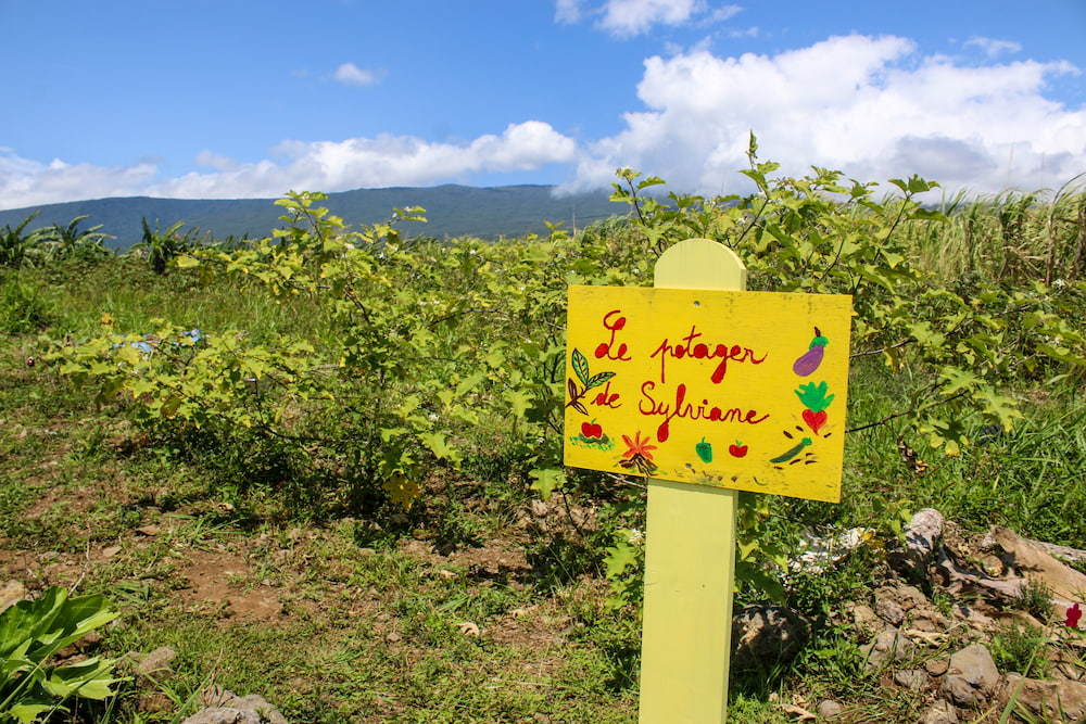 Le potager du domaine de coco à Ste Anne, un des jardins créoles à la Réunion.