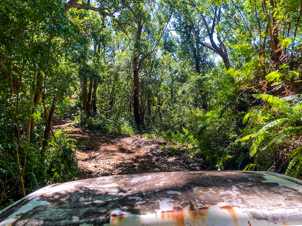 Découvrir le domaine de Mille aventures à sainte-marie.