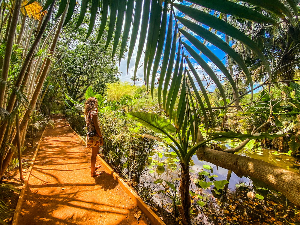 Découvrez un des jardins créoles à la Réunion les plus connus, le Jardin d'Eden.