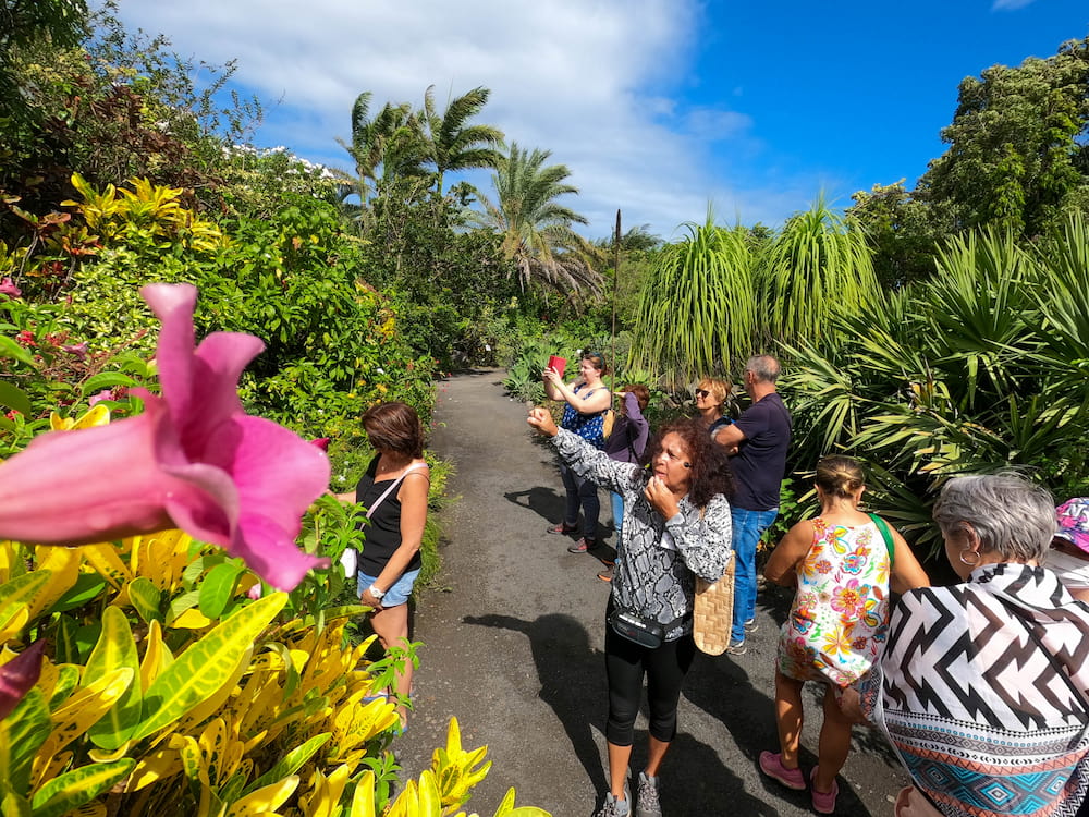 Vous découvrirez de nombreuses espèces de plantes au jardin du Domaine du café grillé.