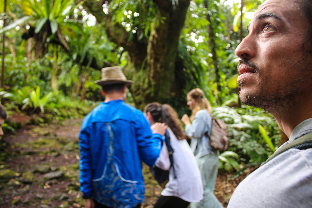 Découvrez la biodiversité exceptionnelle des jardins créoles à la Réunion comme le jardin des parfums et des épices.